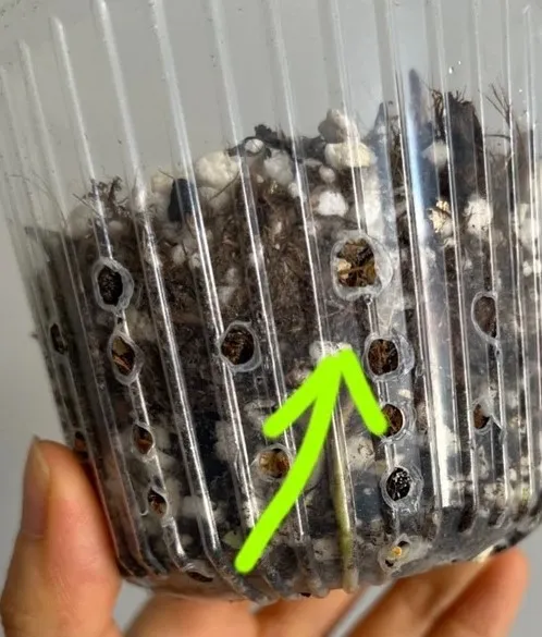Soil Mix More Air Than Soil