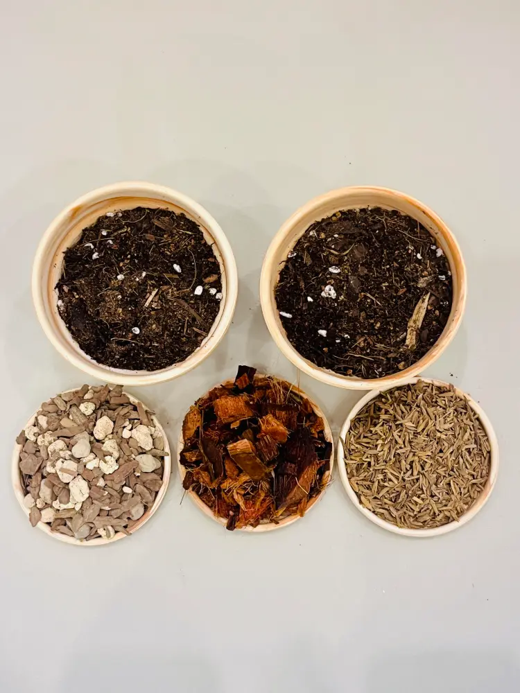 Ingredients for an indoor caladium soil mix including potting mix, coco chips, mineral grit, and rice hulls