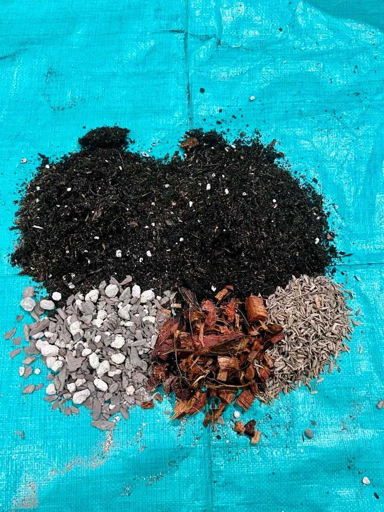 Caladium soil mix materials laid out before blending, including potting mix, coco chips, rice hulls, and gritty amendments