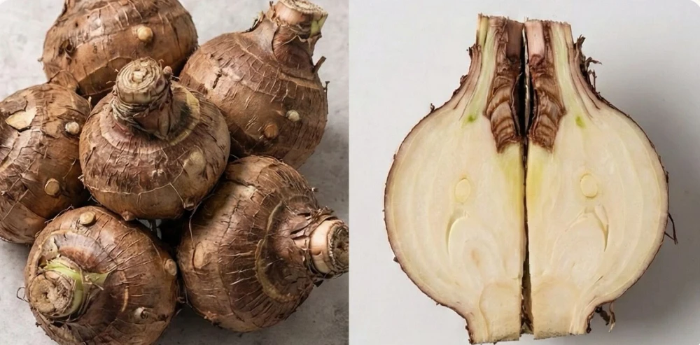 How to Propagate Caladiums: Divide Tubers Without Rot 4 Caladium tubers shown whole and cut open to reveal the inside of a healthy tuber