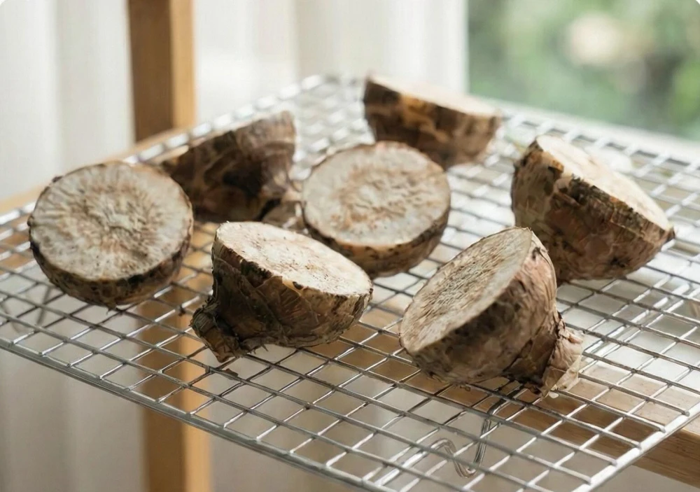 How to Propagate Caladiums: Divide Tubers Without Rot 7 Cut caladium tuber pieces drying on a rack before planting